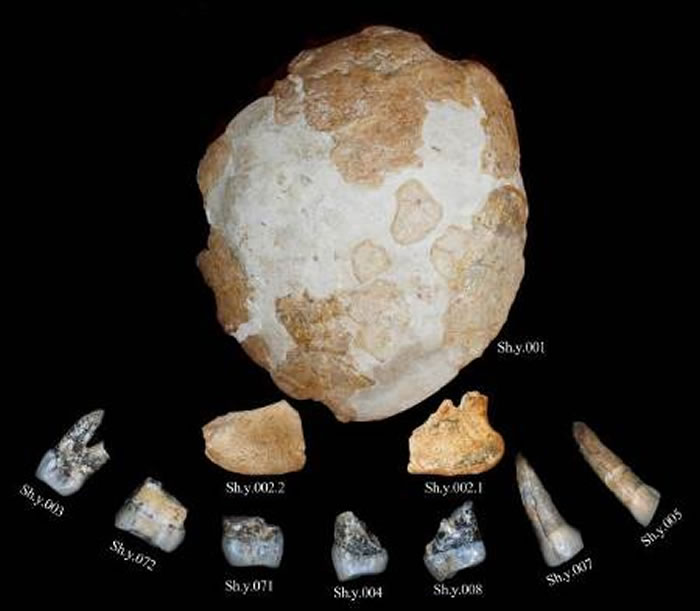 ��Դ�˻�ʯ (���ɹ�ͼ)