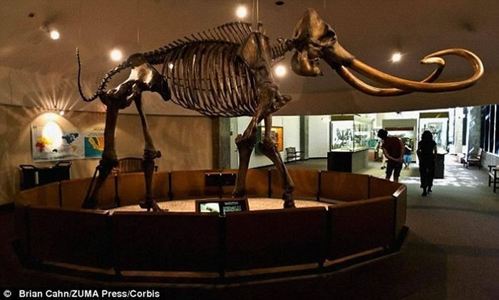 ͼ�й����ṹ�Ǹ��ױ��������ѧ����Ϊ������150����ǰǨ���������ޣ�����ë�����Ǩ��֮�÷�����40����ǰ��