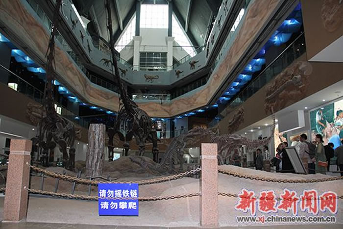 �½��׽캣��ʯչ����4��30���ڲ��������ݿ�չ