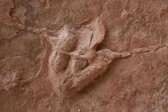 һ���ֵĴ��Ϳ����㼣