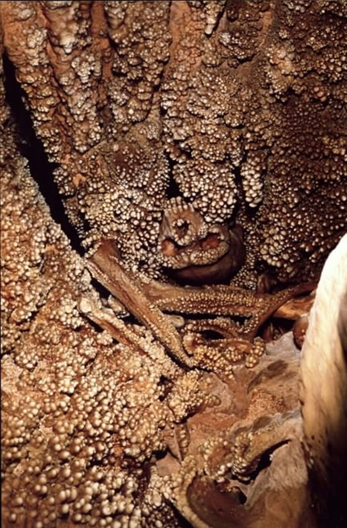 ��ѧ���״ν����������������Ѩʯ�ڵġ�����������Ѩ���ˡ�����ʵ���