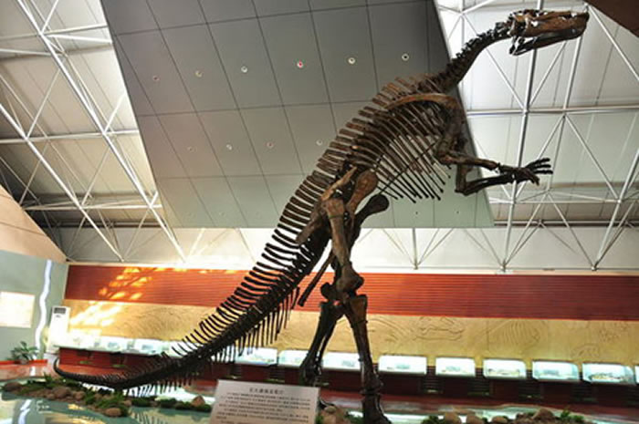 Ӣ������˹����������ߴ��Ѽ�����Ǽܡ������¼��֤֤�������й����޴��������