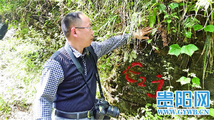 当地岩石中,富含古生物化石