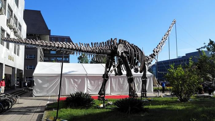 侏罗纪最大恐龙首次亮相