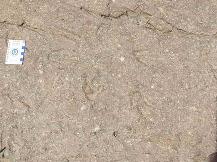 ��������ɽ����ļ��Ӵ�ɽ�㼣��ʯΪʳ���Կ�����ӡ