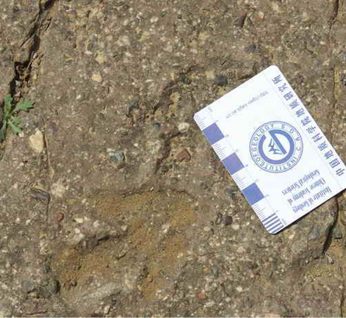 ��������ɽ����ļ��Ӵ�ɽ�㼣��ʯΪʳ���Կ�����ӡ