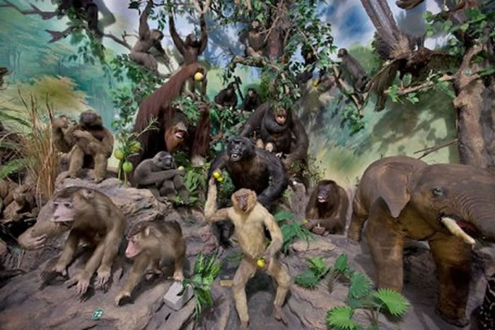 �й���ʯ��ʾ�����鳤�ද������ݻ���������������Ƶ��Ų�״��