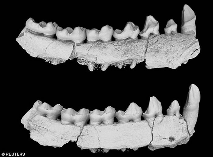 �й���ʯ��ʾ�����鳤�ද������ݻ���������������Ƶ��Ų�״��