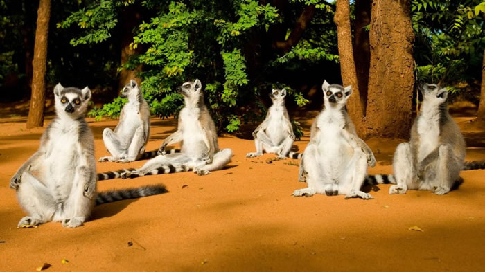 ����ͼƬ����β����