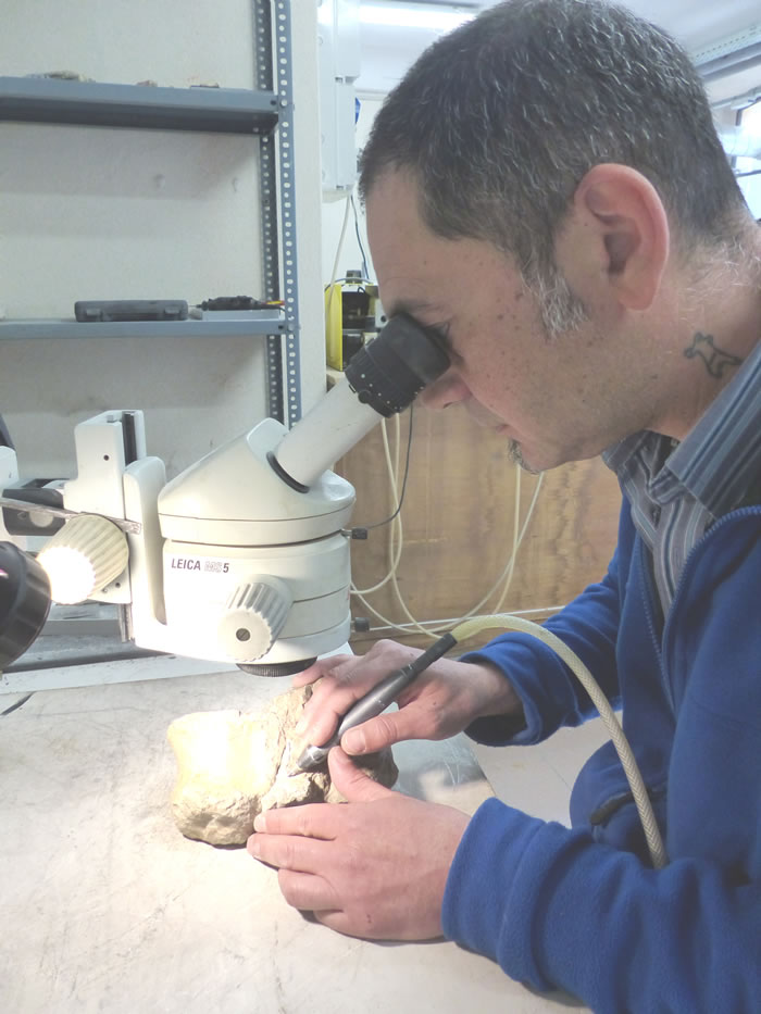 �����������ŷ����ϵ���������