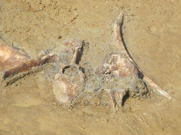 ����ʡ������ʯ���緢��5����ǰ���ӹ������ʯ