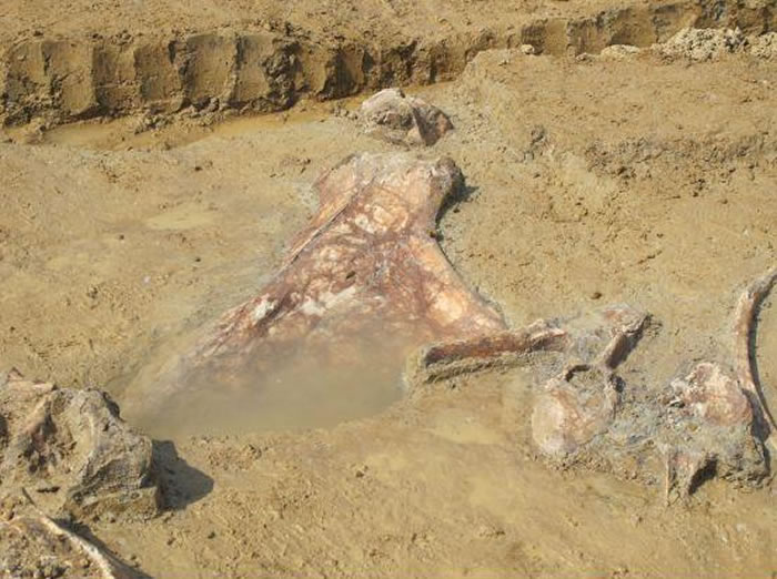 ����ʡ������ʯ���緢��5����ǰ���ӹ������ʯ