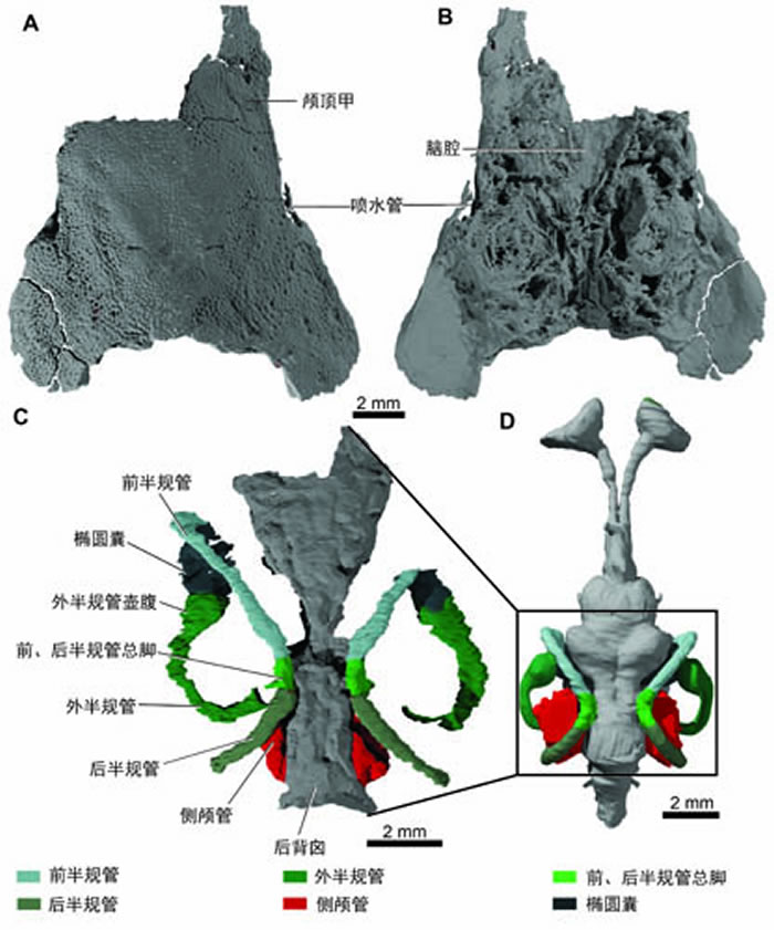 ­ṹCTؽģ͡A­ףӣB­ӣCǻӣDMimipiscsǻӣ¬ͼ