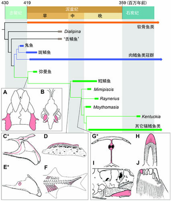 ڷ֧ϵͳͼɫʾ࣬ɫʾࣨ¬ͼ