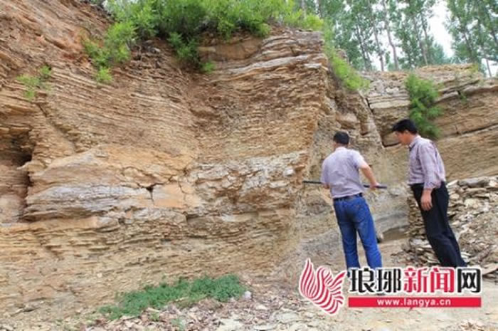 ���ʴ�ѧ���ƶ����ں�����������ɽ�¿�����ʡ�