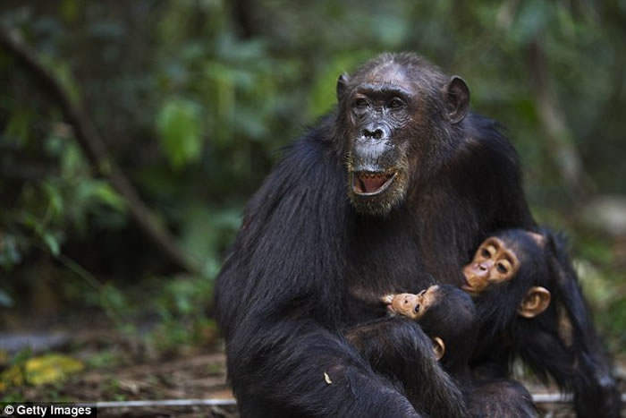 ��������������Ϊ������������������Ӧ������