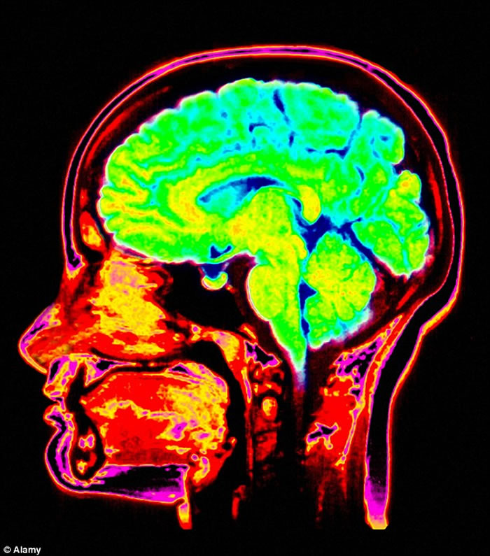 ��������������Ϊ������������������Ӧ������