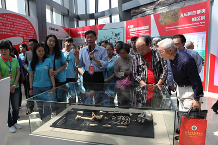 �ιۡ�������ĸ-¶������ʯ������Ʒ��