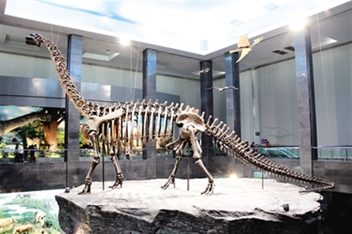 ���ɹŲ���Ժ�ղص��������İ��ѼͿ����������ŵ����������ʯ��