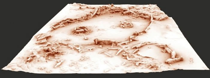 �ᰲ�����˶�Ѩ������ͼ��