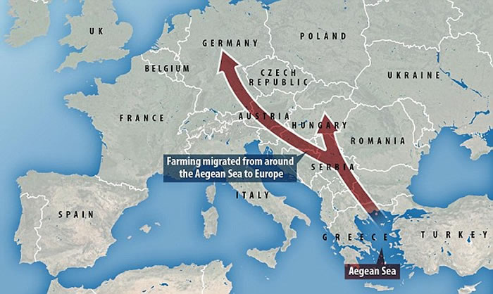 �о���������ŷ��ũ��Ǩ��������ϣ����������