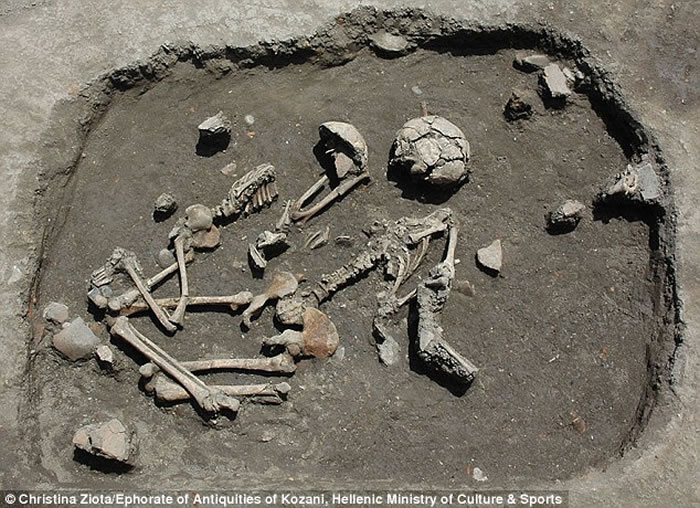 �о���������ŷ��ũ��Ǩ��������ϣ����������