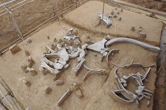 ��Ǩ�������ػ��ӹ������ʯ���������