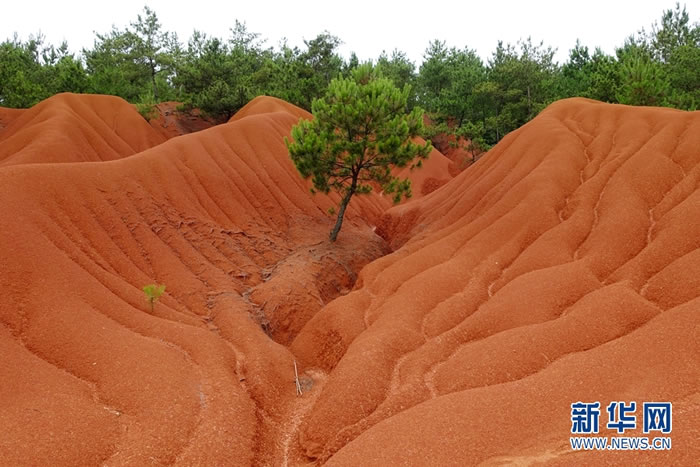 6��13�գ�����ĥ��ʯ��ʯ����ַ�����϶��ϲ����޶��б������Ͻ�����Ϊ�޶�����أ��޶�����γ��ڵ����ͣ�����Ϊ�Ϻ�ɫɰ�ҡ�ҳ�ҡ��»����� ����÷��