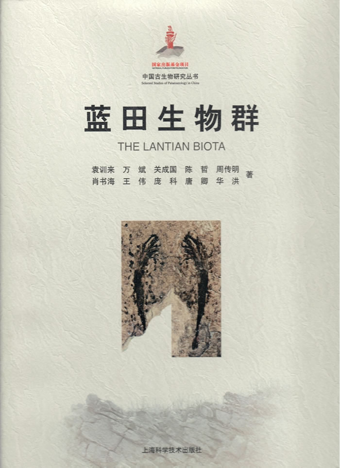 ����������Ⱥ��ר������