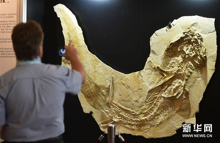 2016��6��23�գ�����鱦����չ���������޿����ʯ����ʯչ����ۻ���չ�����ľ��С�չ����������26�գ���������41�����Һ͵�����2200��Ҳ�չ�̲�չ����