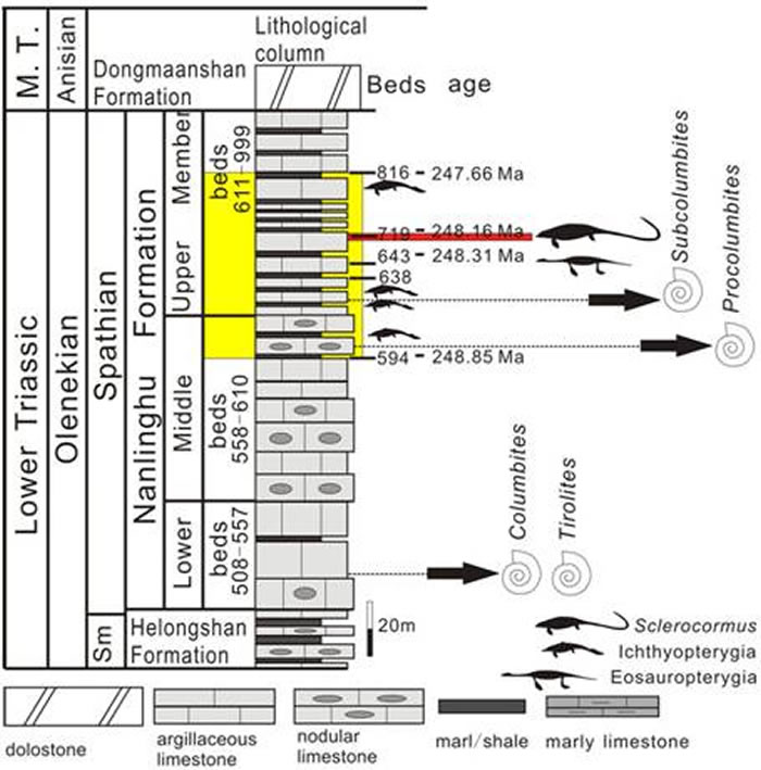 СͷSclerocormus parvicepsʯĲλ