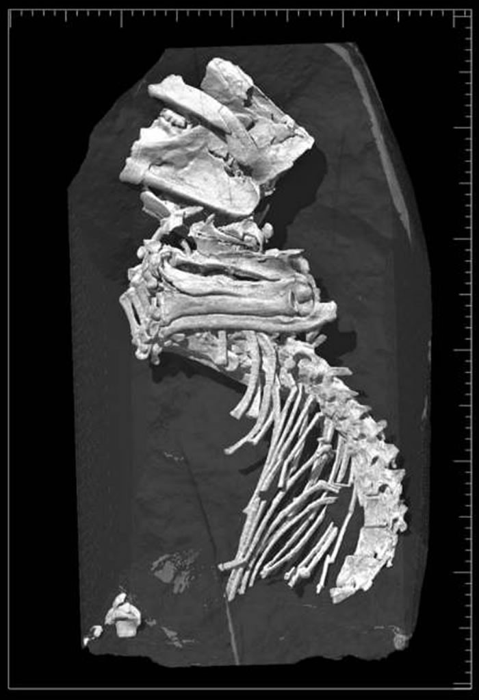 �ձ�����������������ݷ���1.2����ǰ����ʱ�����鶯�ﻯʯ