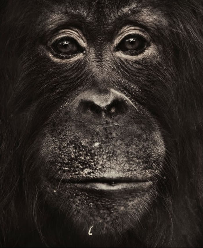 Ϊ�ν���Գ�������Ϊ�ˣ�