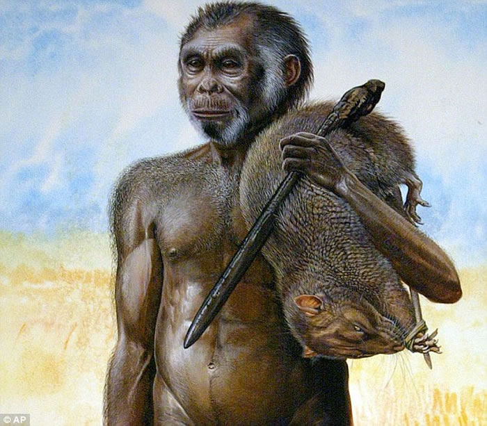 �ִ��������Ƚ��븥����˹�����»����������