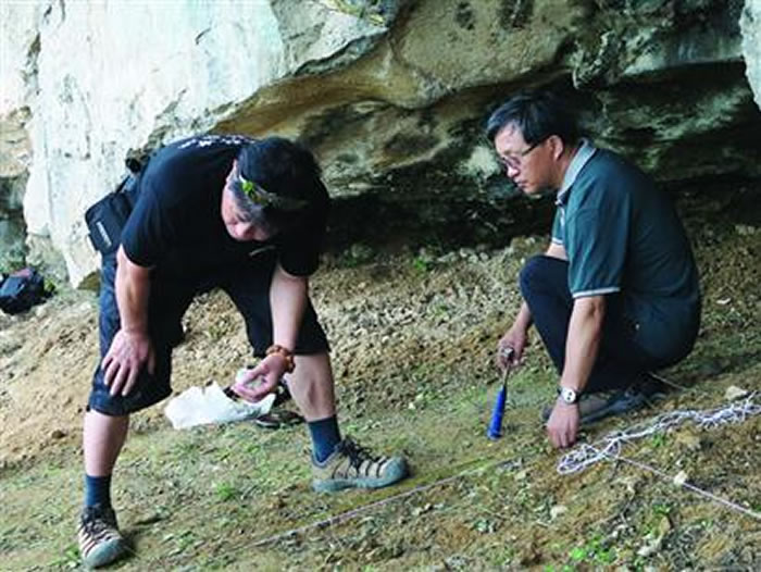 ������Ա�ڷ����ֳ��������Ρ�