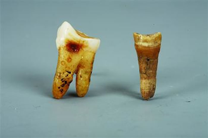 ���������ݻ�ʯ��