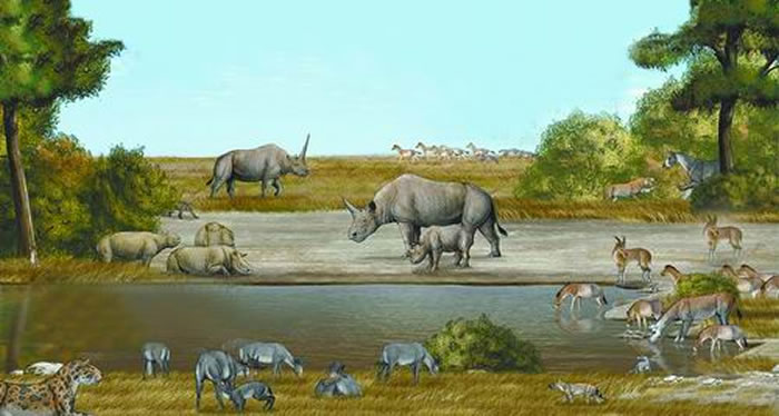 �ڸ���ʡ�����ݽ��������ʹ��������ȡ�