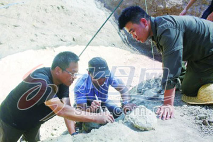 �п�Ժר���������ٴδ��ӵ�����������ʯ���������б�������