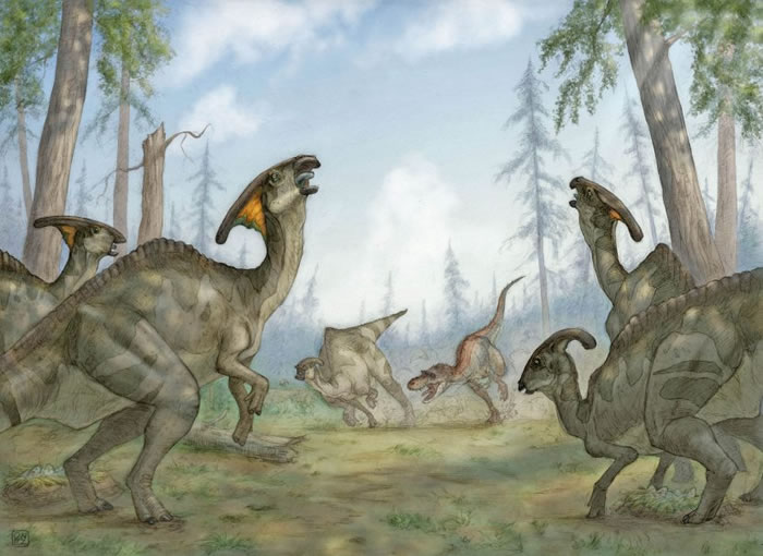 Ѽ��������ɹ�����ʳ�������� �Ǻ������ܹ���������Ӧ��Ӳʳ��