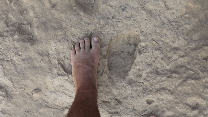 ϵͳ�����������ѧ�����