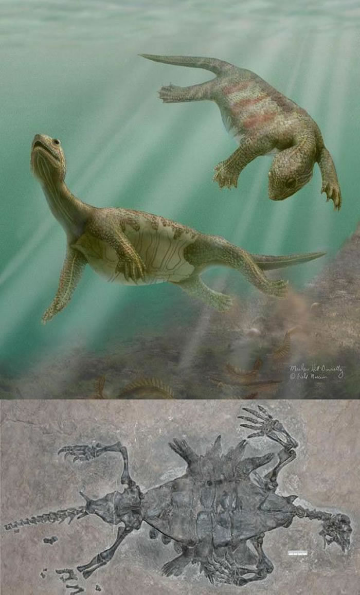 Լ22000ǰİ׳ݹֻ꣨꣩им׿ǣ޿ǣݡ׳ݹǹеҪֻ֡ʯй