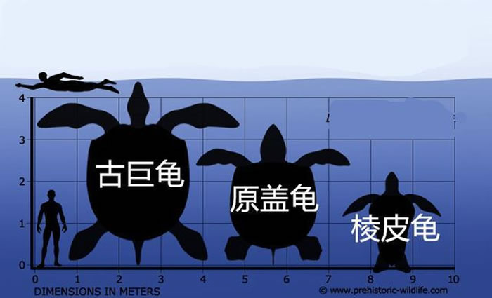 ʷڹ꣺ž޹ԭǹ꣬ԼִƤꡣǰڹ궼ڰѼ͡