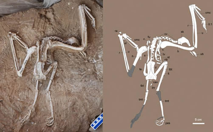 �������½���أ�ջ�ʯ��Ƭ������ͼ����־�㹩ͼ��