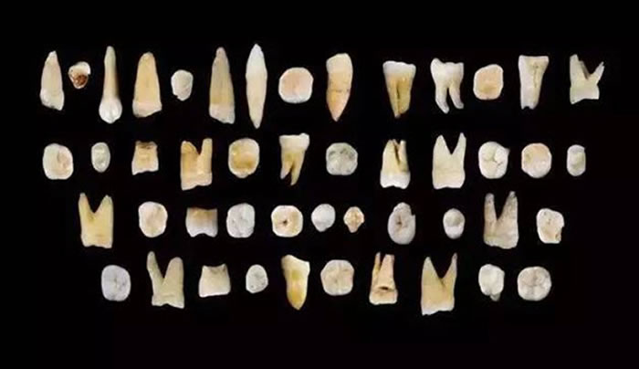 �й�����һ��Ѩ���ھ����ʮ�������ִ���������ݣ���׷����12��-8����ǰ��S. Xing and X-J. Wu