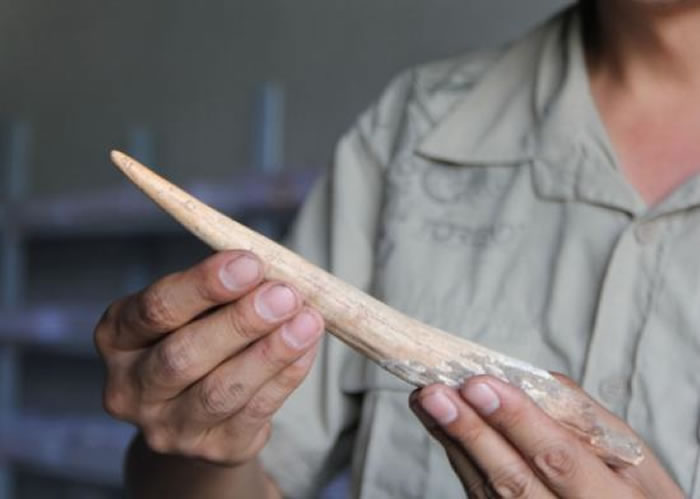 �й�����ַ���ֵĹ�������������Ƥ�Ĺ�׶