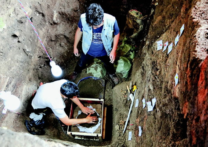 ���Ŷ�Ա�����似�������㻯ʯ