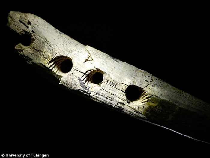 4����ǰ����ŷ�޵��������������������ƳɵĹ�������������