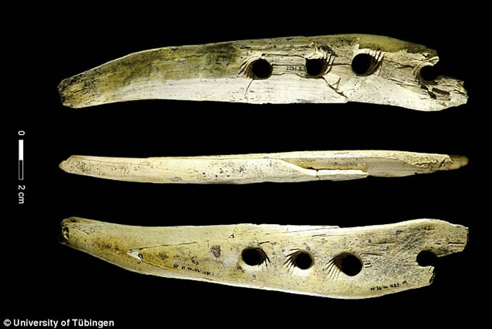 4����ǰ����ŷ�޵��������������������ƳɵĹ�������������