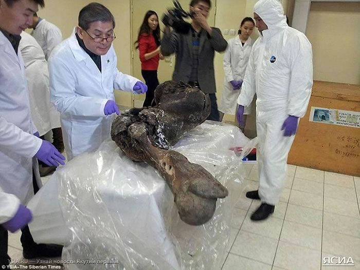 ͼ���ǻ��������ںͿ�ѧ��С��������ȡ����DNA��