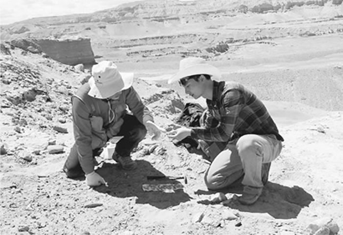 ��������أ�����������˼殣��ң��ڿ����Աָ���¹̶���ʯ���ﲩ�� ��